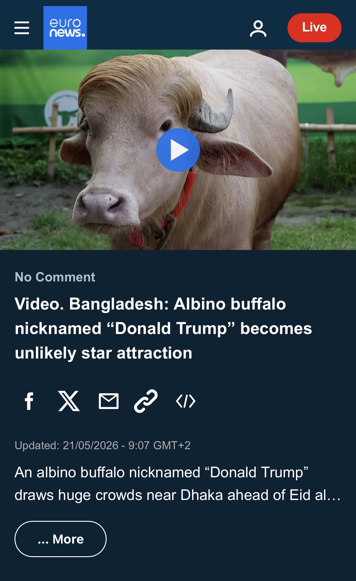 Euronews coverage of Donald Trump buffalo